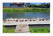 Fotogalerie | 2025 | VKOLOMOUC